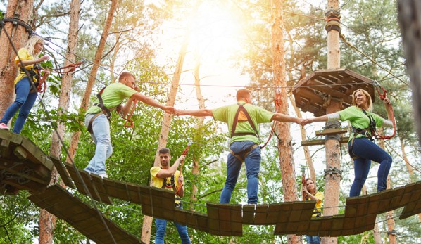Adults activity 5